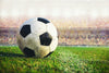 Soccer vs. Thales-Apex 8/28
